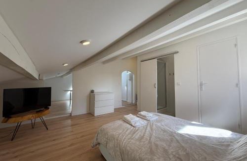 Albi Apartment | Cocon climatisé sous les combles