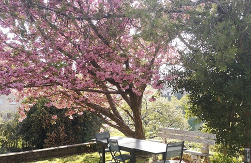 Bocognano House | Comfortable villa in the heart of an authentic village