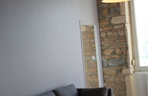 La Confluence Apartment | Confluence renovated 2-room apartment