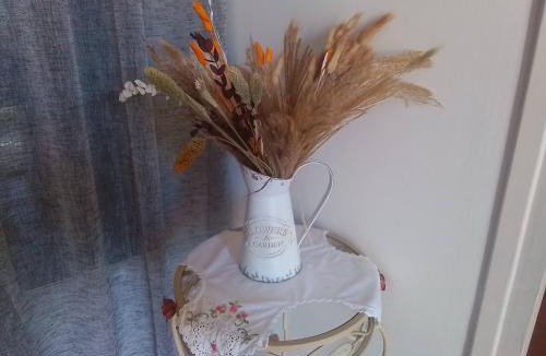 Cotignac Apartment | COTIGNAC SEJOUR VACANCEs