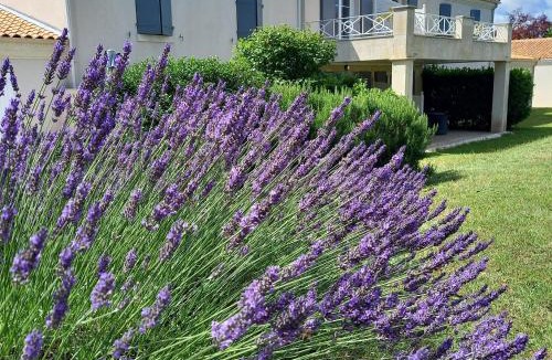 Chateaubernard Hotel | Domaine de l'Echassier, The Originals Relais