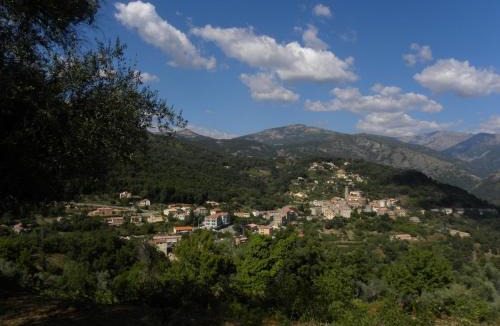 Vico Bed & Breakfast | Domaine U Bugnu