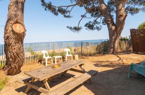 Prunete Ski Chalet | Dune Sud