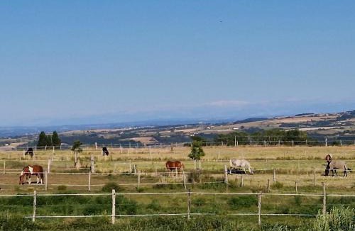 Saint-Maurice-sur-Dargoire House | Duplex calme, vue chevaux et montagnes