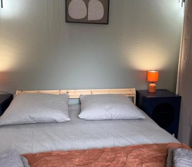 Bourges Apartment | Duplex T2 cosy - Hyper Centre - Parking privé