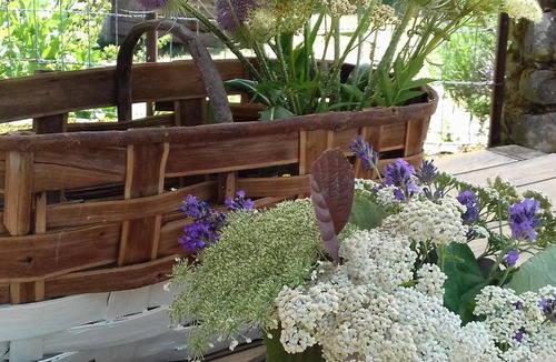 Graissac Bed & Breakfast | Esprit Nature Rêve d'étoiles