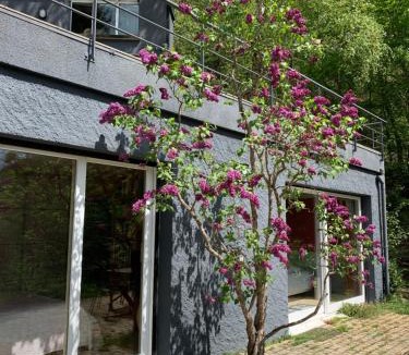 Aydat House | Face au Sancy