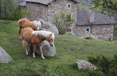 Enveitg Apartment | Ferme Can Llull