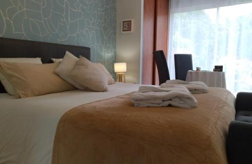 Albi Bed & Breakfast | Fleurs de Cosmos, suite lumineuse climatisée