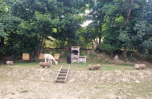 Saint-Julien-Labrousse RV Rental | "Forest" Dome Alpacas and Starry Nights