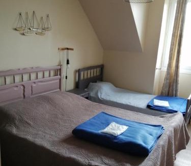 Lanhelin House | Gîte Hydrangea