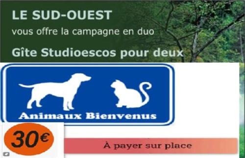 Escos House | Gîte Le Trèfle Studioescos