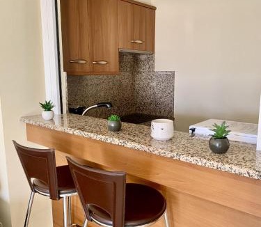 Cannes City Centre Apartment | Gray d'Albion POL519 studio