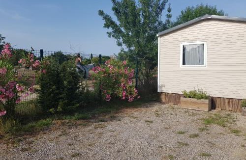 Montpellier Other | HerGine