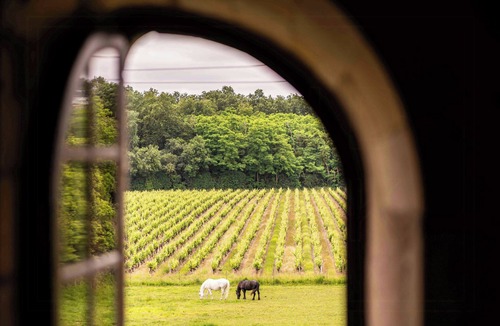 Blaison-Saint-Sulpice House | Historic manor house in the Loire Valley
