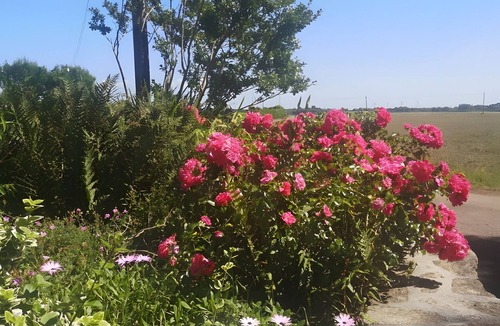 Mahalon House | Holiday Home 'Single-Storey' with Private Terrace, Shared Garden and Wi-Fi