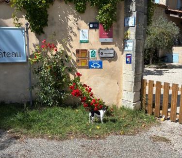 Saint-Laurent-du-Verdon Hotel | Hotel Le Moulin du Château