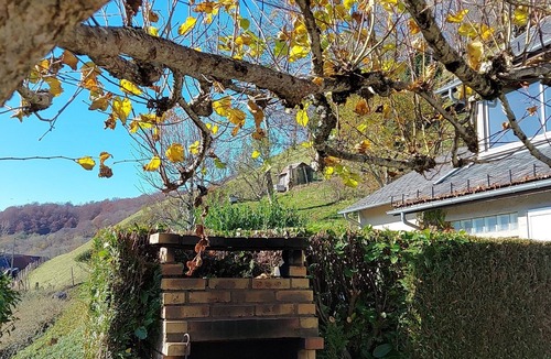 Mandailles-Saint-Julien House | House at the foot of puy mary