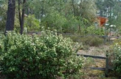 Maubuisson House | House / Villa - Maubuisson