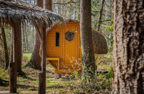 Epiniac Bed & Breakfast | Insolites, Les Ormes, Epiniac