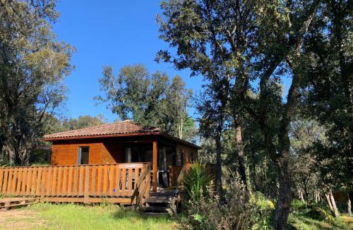 Sartene Apartment | L'Aravone Lodge