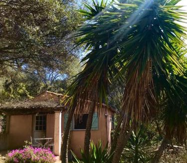 Serriera House | La licorne