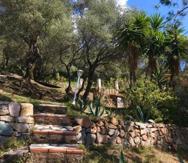 Serriera House | La licorne