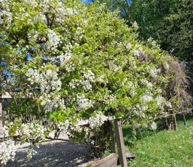 Puy-d'Arnac Bed & Breakfast | La parenthèse
