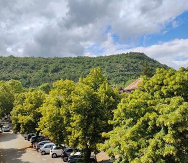 Saint-Antonin Noble Val Apartment | La petite maison