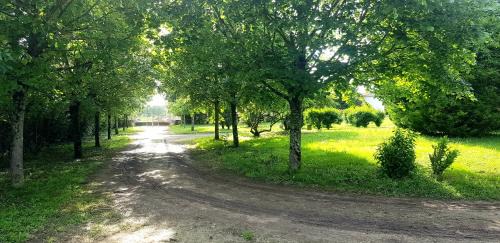 Neuvicq-le-Chateau Bed & Breakfast | La Revêtizon