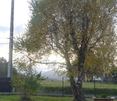 Loucrup House | La Roseraie
