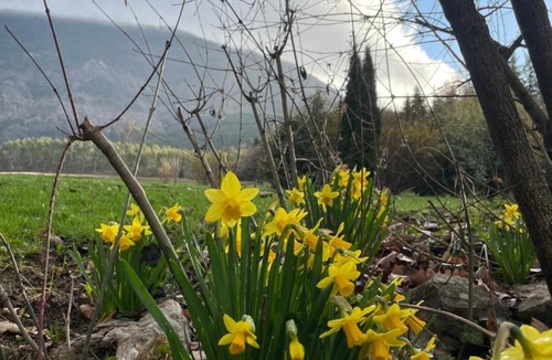 Saint-Pierre-d'Argencon Bed & Breakfast | La Source