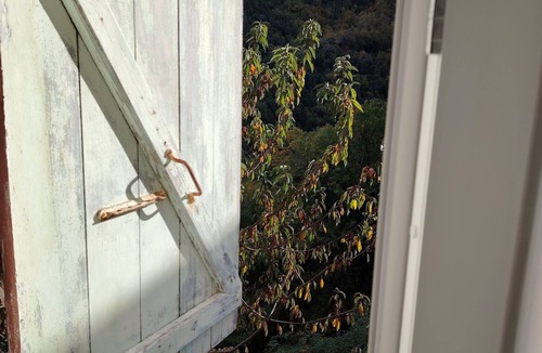 Sant'Andrea-di-Bozio House | Large, comfortable house with terrace overlooking the valley.