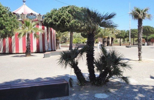 Tamaris Apartment | Large studio with sea view! A stone's throw from Les Sablettes beach