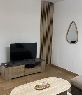Romans-sur-Isere Apartment | Le Cocon des Quais Appartement 2 chambres Romans