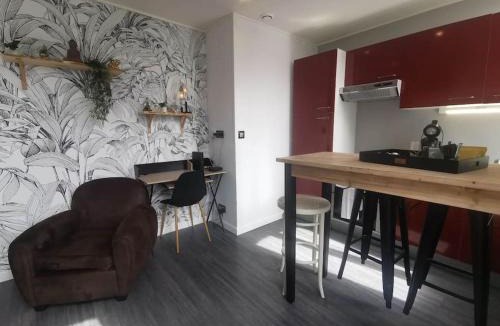 Castelnaudary Apartment | Le Cocon Zen - Balcon -Bureau - Centre-ville