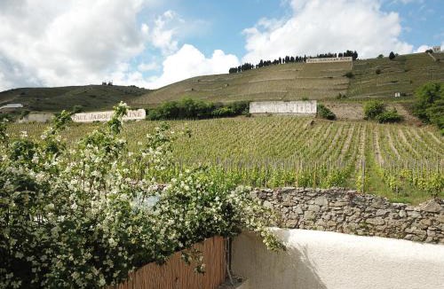 Tain-l'Hermitage House | Le Pavillon de l'Hermitage - Spa ouvert d'Avril à Octobre