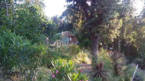 Grosseto-Prugna Ski Chalet | Le petit chalet