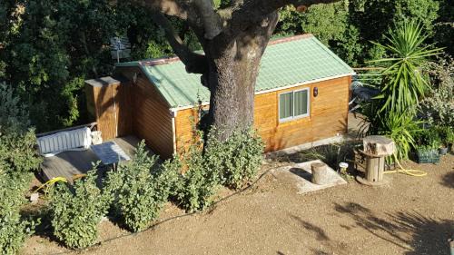 Grosseto-Prugna Ski Chalet | Le petit chalet