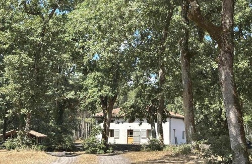 Commensacq House | Le résinier