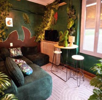 Graulhet Apartment | Le Studio Jungle climatisé