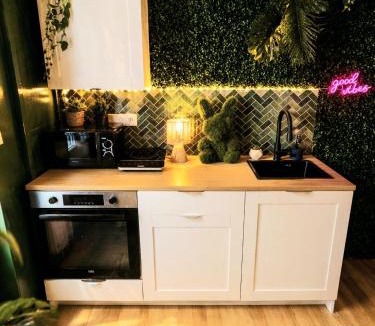 Graulhet Apartment | Le Studio Jungle climatisé