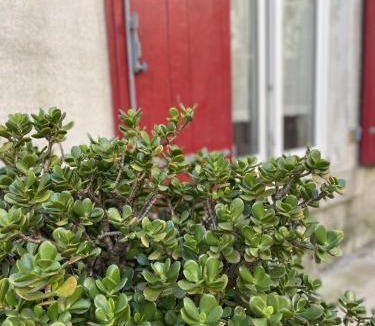 Taurize House | Le Taurillou