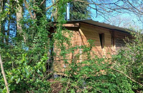 Malansac Cabin | Le Temple Ysambre