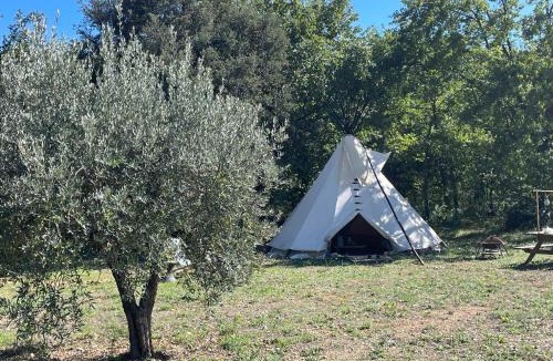 Trans-en-Provence Other | Le tipi Naskapi