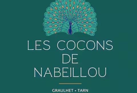Graulhet Apartment | Les Cocons de Nabeillou