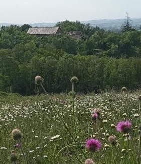 Pampelonne House | Les Gîtes de Roucayrols