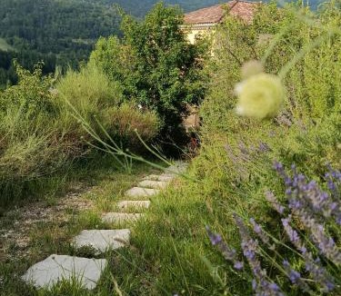 Orpierre House | Les Terrasses du Paradis