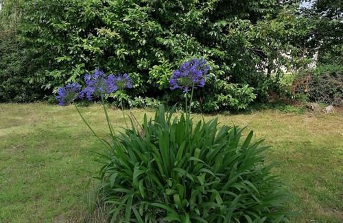 Plougoumelen House | Lovely renovated house on a large, quiet lot