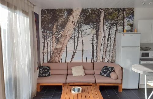 Ronce-les-Bains House | Maison RONCE LES BAINS